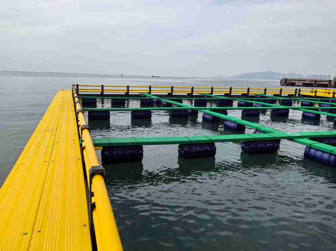 Say goodbye to makeshift structures—scale your biomass with our precision-engineered HDPE Fish Cage system