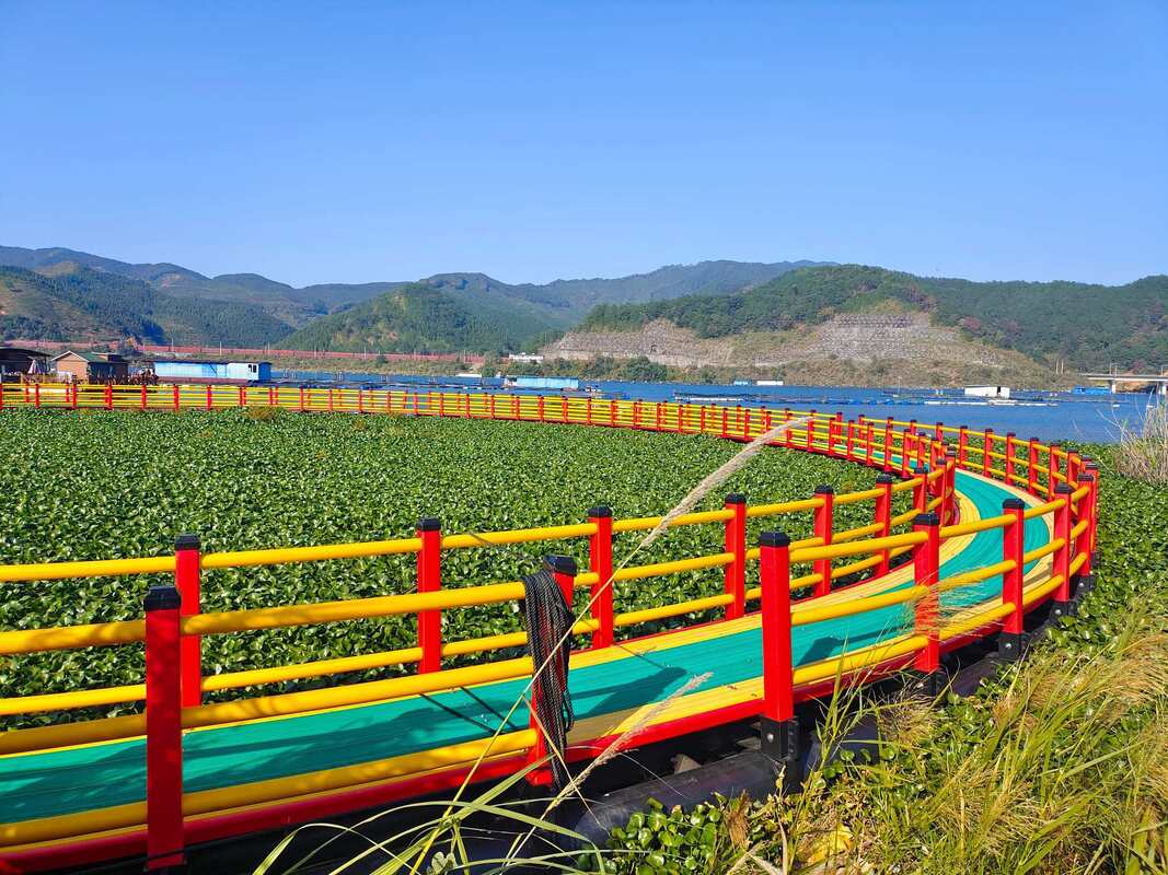 Stop bleeding cash on endless repairs. One premium HDPE Fish Cage turns a chaotic, high-risk farm into a streamlined, high-profit asset.