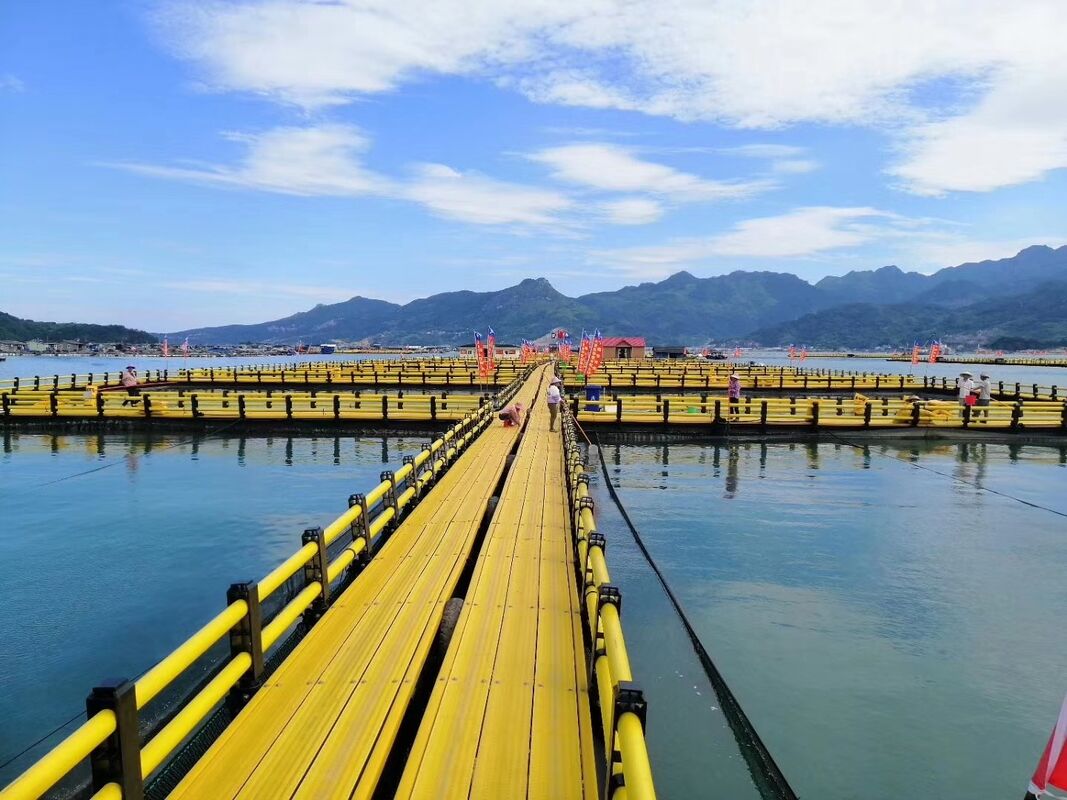 Stop bleeding cash on endless repairs. One premium HDPE Fish Cage turns a chaotic, high-risk farm into a streamlined, high-profit asset.