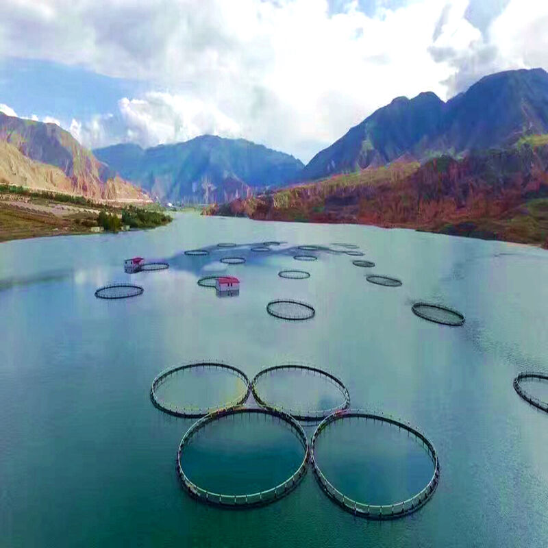 Integrated Deep Water Fish Cage, High Stability Welded HDPE Cage