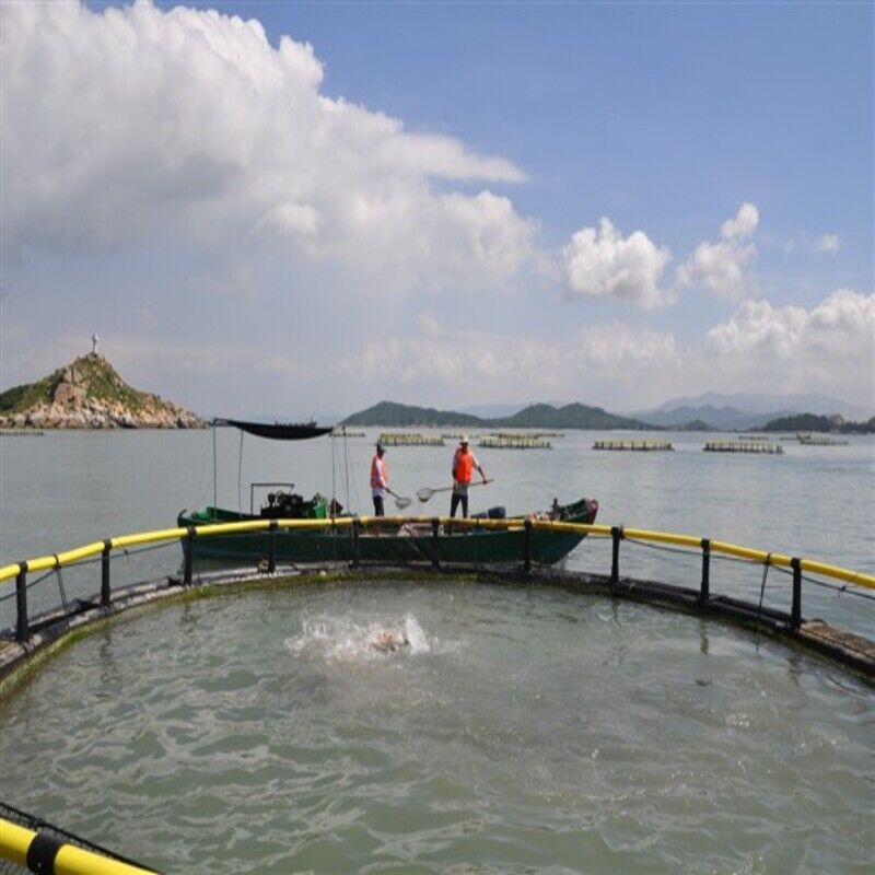 Integrated Deep Water Fish Cage, High Stability Welded HDPE Cage