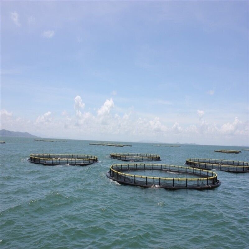 High Bearing Capacity Round Fish Cage for Commercial Aquaculture