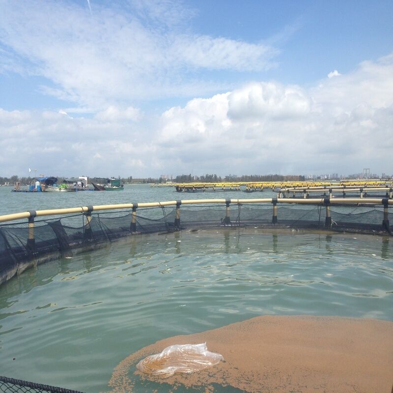 High Bearing Capacity Round Fish Cage for Commercial Aquaculture