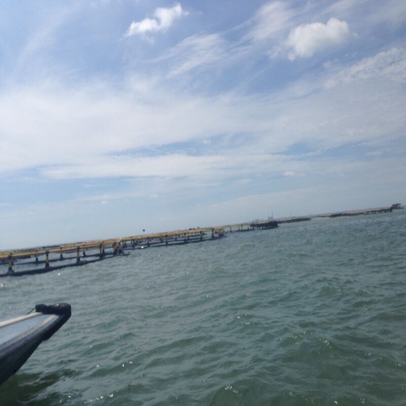 Weather & Corrosion Resistant HDPE Aquaculture Cage Equipment