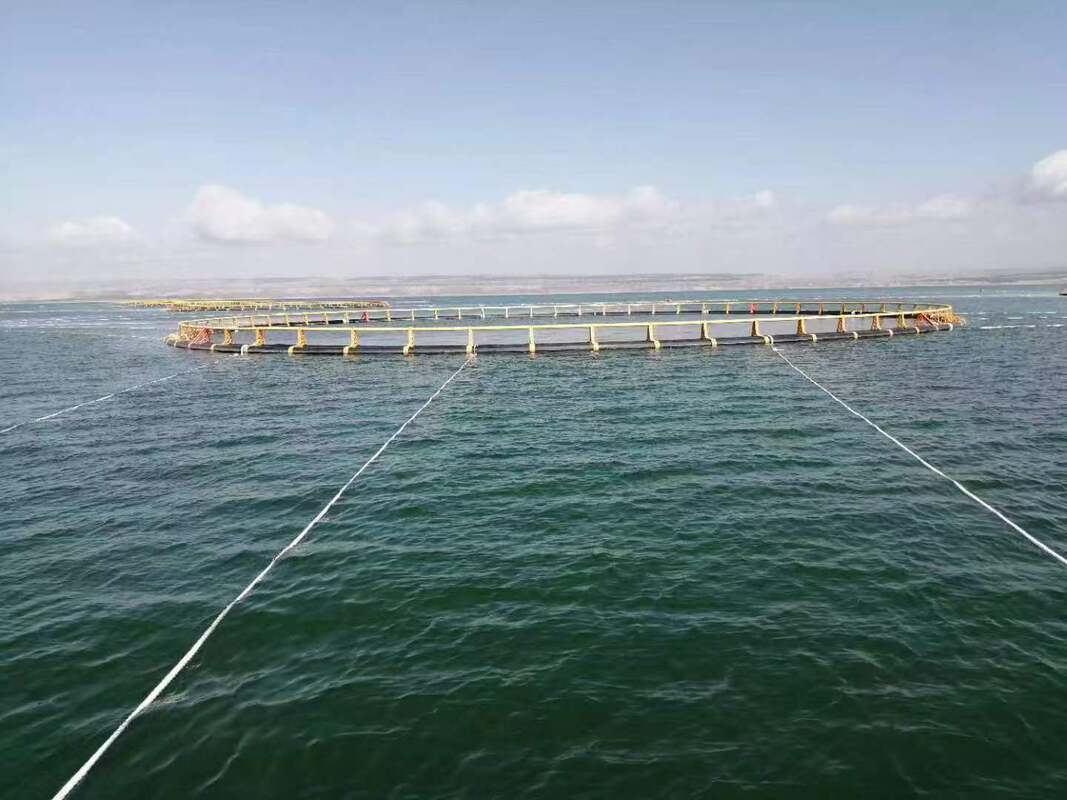 Upgrade from rust to robust. Experience the future of farming with HDPE Fish Cages