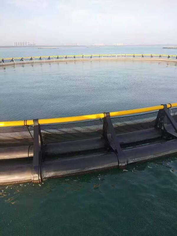 Trade your high-maintenance metal grids for a lifetime of durability. Choose HDPE fish cages.