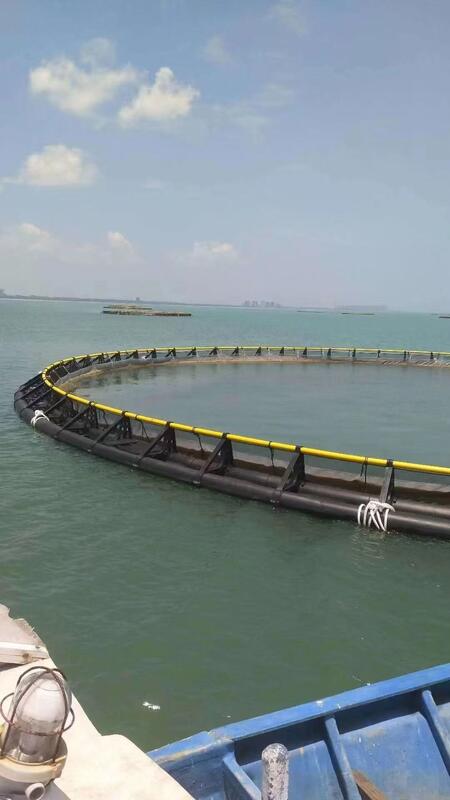 Trade your high-maintenance metal grids for a lifetime of durability. Choose HDPE fish cages.
