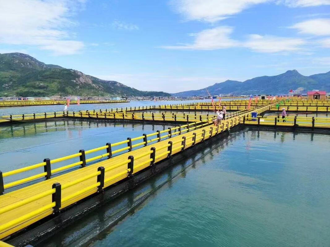 Trade your high-maintenance metal grids for a lifetime of durability. Choose HDPE fish cages.