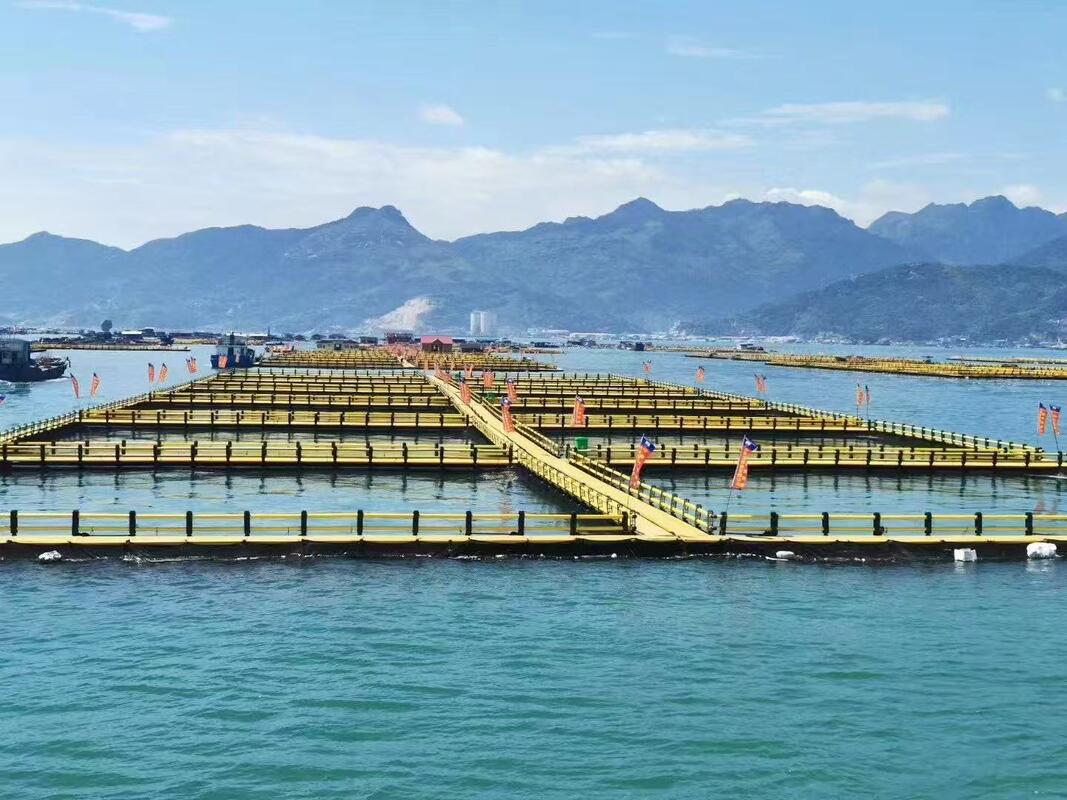Trade your high-maintenance metal grids for a lifetime of durability. Choose HDPE fish cages.