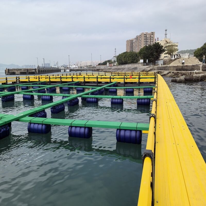 Shock Resistant HDPE Floating Fish Culture Raft for Freshwater Lake Farming