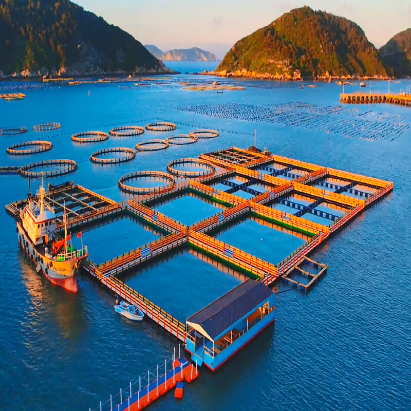 Modular Split-Type Aquaculture Cage with Walkway for Step-by-Step Farm Expansion