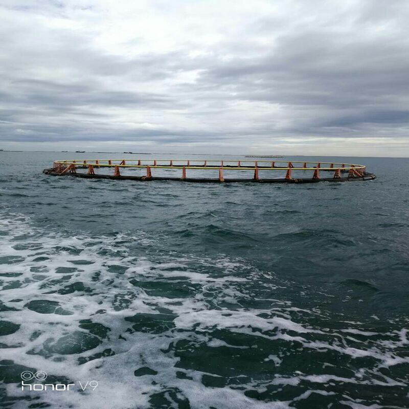 Anti-Aging UV Stabilized HDPE Fish Cage for Long-Term Open Water Service