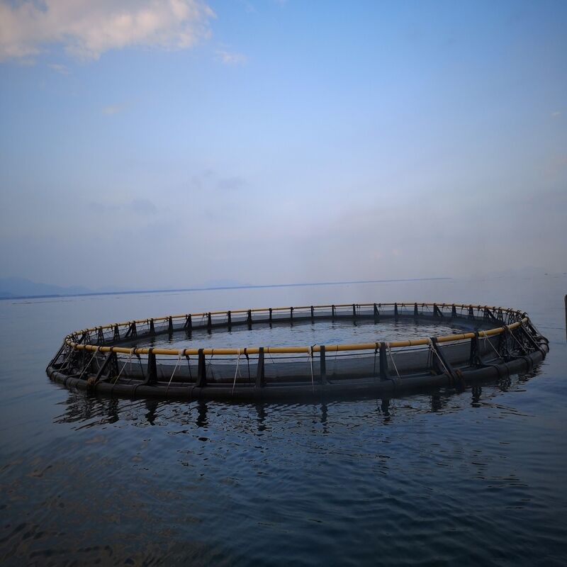 Anti-Aging UV Stabilized HDPE Fish Cage for Long-Term Open Water Service