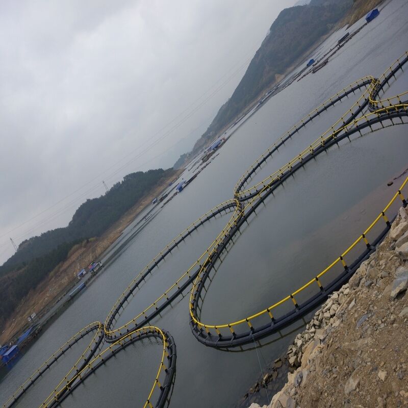 Anti-Aging UV Stabilized HDPE Fish Cage for Long-Term Open Water Service