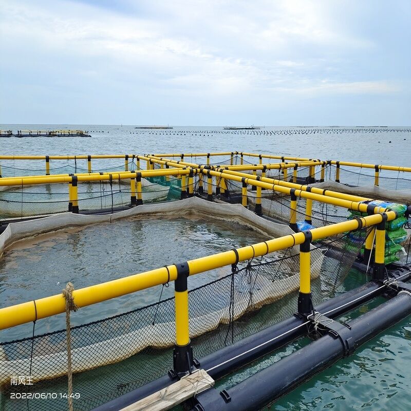 Small Multi-Cell Combined Fish Raft for Low-Investment Starter Fish Farm