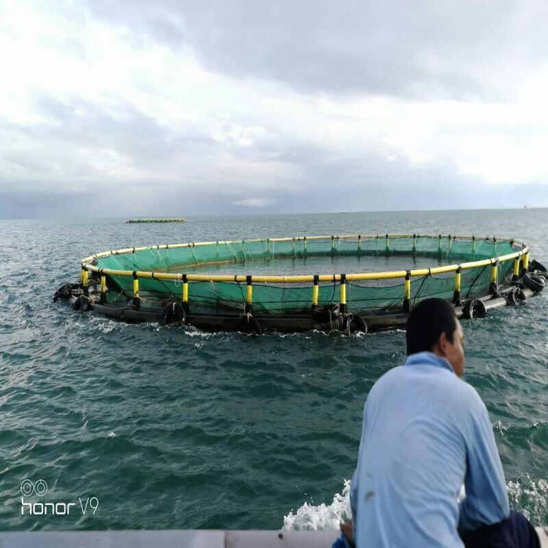 Deep Water Circular Anti-Turbulence Fish Cage with Even Force Distribution