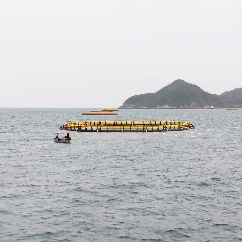 Deep Water Circular Anti-Turbulence Fish Cage with Even Force Distribution