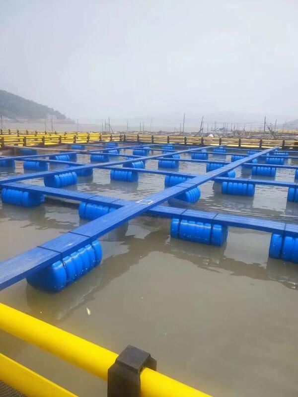 Fish raised in our premium HDPE fish cages consistently fetch a premium market price