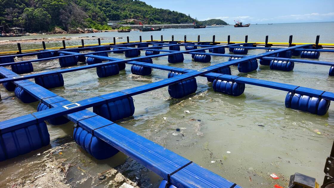 Modular Pontoon Dock: 100% Virgin PE100, 25‑Year Lifespan, Cost‑Effective, Ideal for Rivers & Small Lakes, Top Pick for Individual Fish Farmers