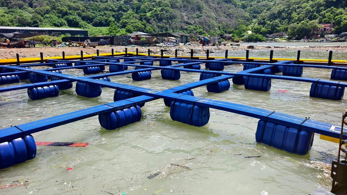 Modular Pontoon Dock: 100% Virgin PE100, 25‑Year Lifespan, Cost‑Effective, Ideal for Rivers & Small Lakes, Top Pick for Individual Fish Farmers