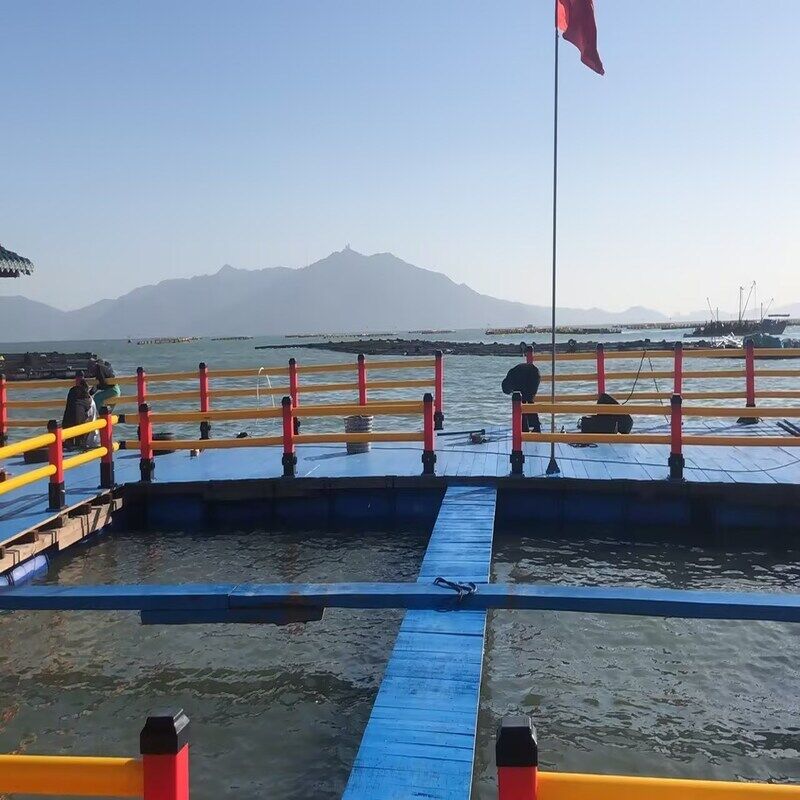 Integrated HDPE Square Shrimp Cage for Coastal Seawater Aquaculture
