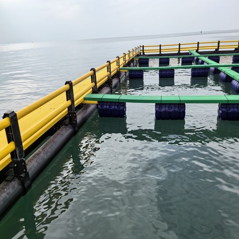 Integrated HDPE Square Shrimp Cage for Coastal Seawater Aquaculture