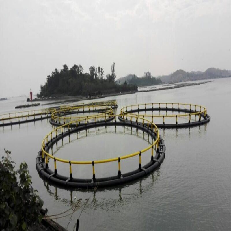 High Wind-Resistant Circular Fish Cage for River Mainstream Breeding