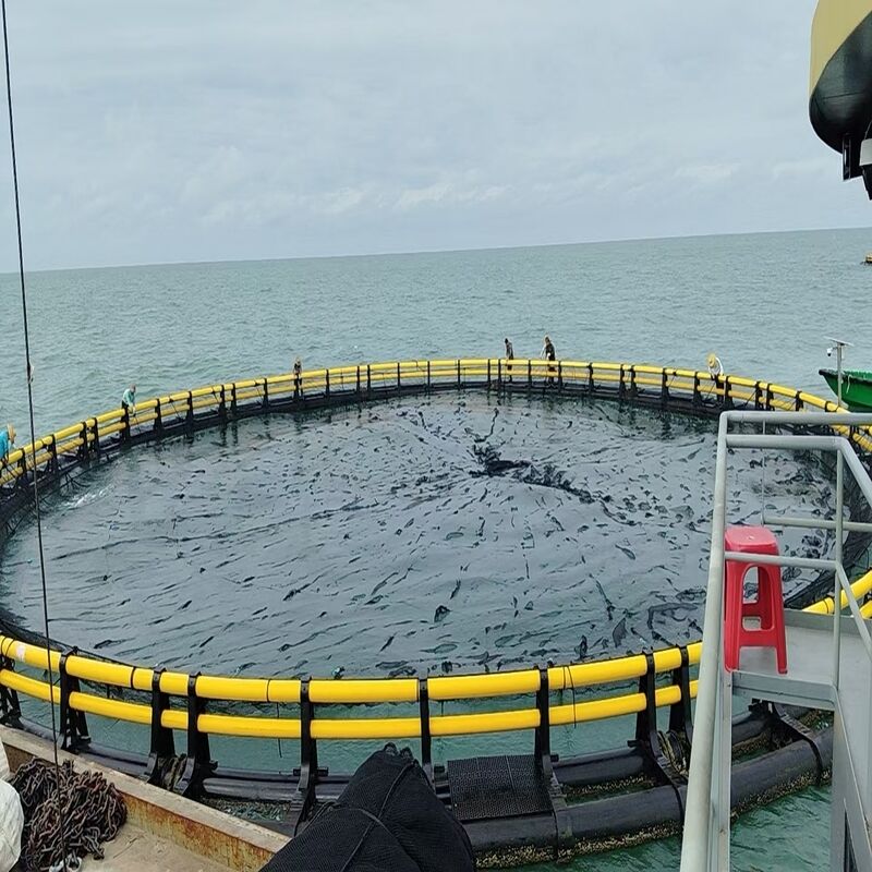 High Wind-Resistant Circular Fish Cage for River Mainstream Breeding
