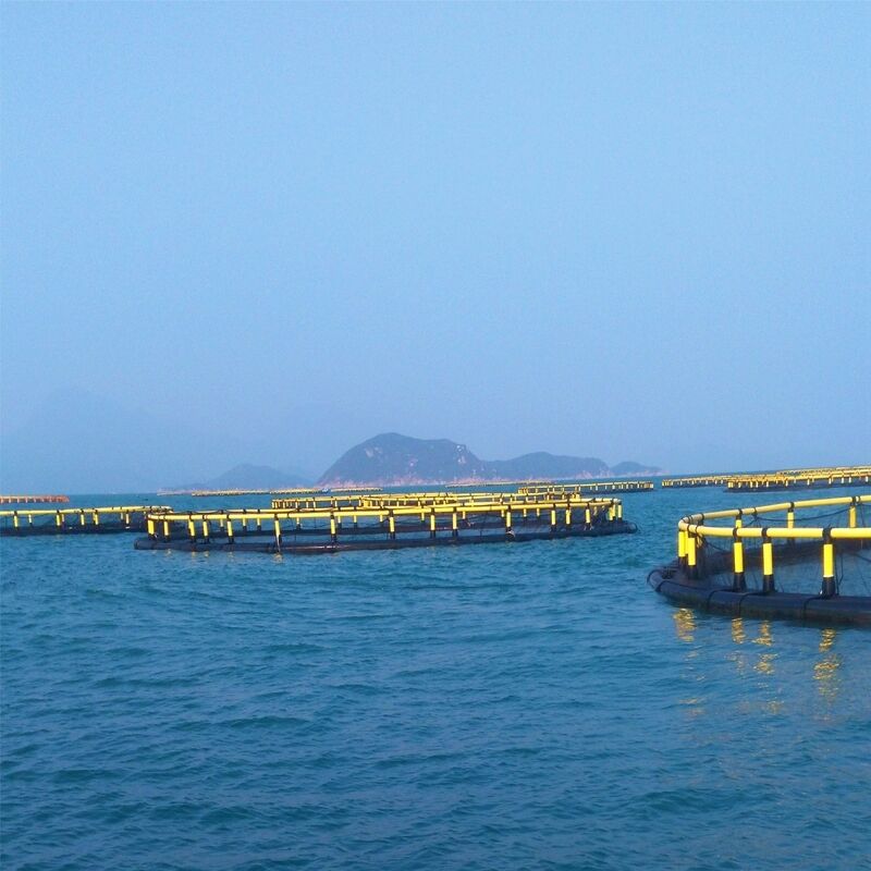 High Wind-Resistant Circular Fish Cage for River Mainstream Breeding