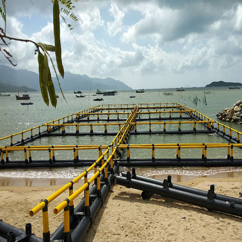 Modular Combinable Fish Raft for Small-Scale Aquaculture Beginners