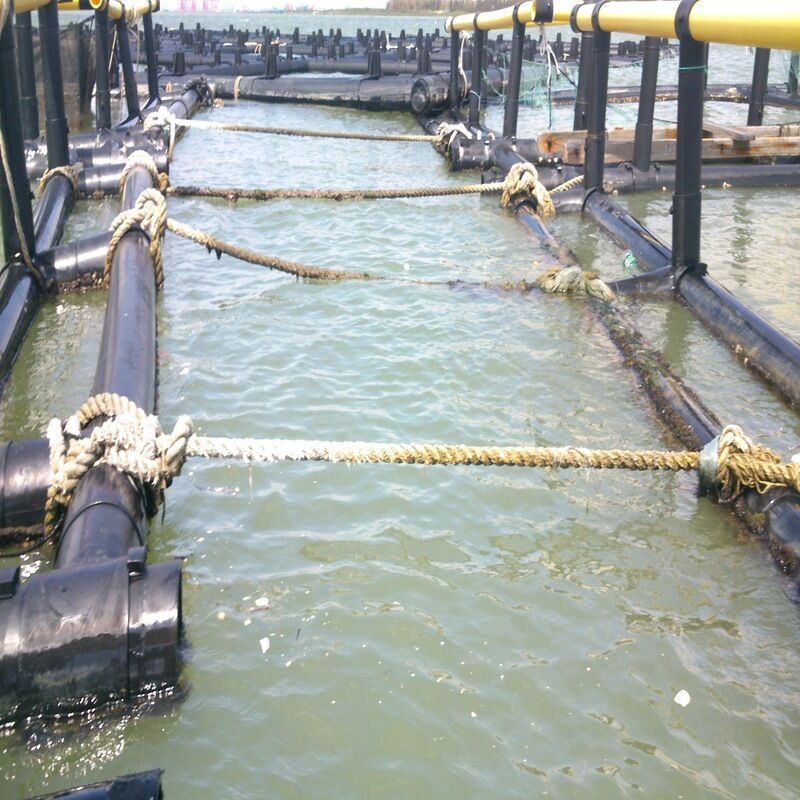 Modular Combinable Fish Raft for Small-Scale Aquaculture Beginners