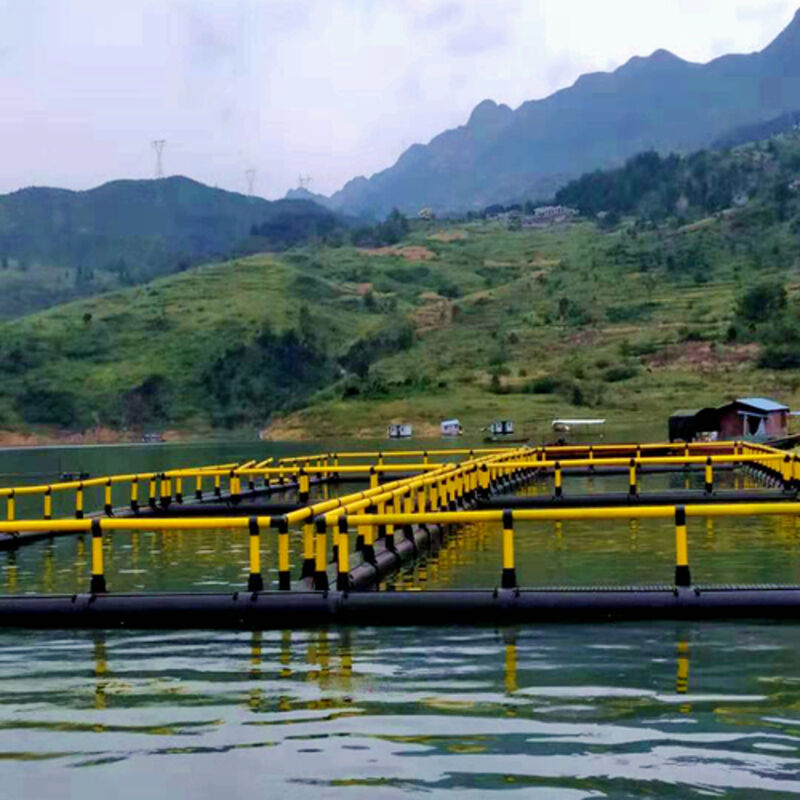 Modular Combinable Fish Raft for Small-Scale Aquaculture Beginners