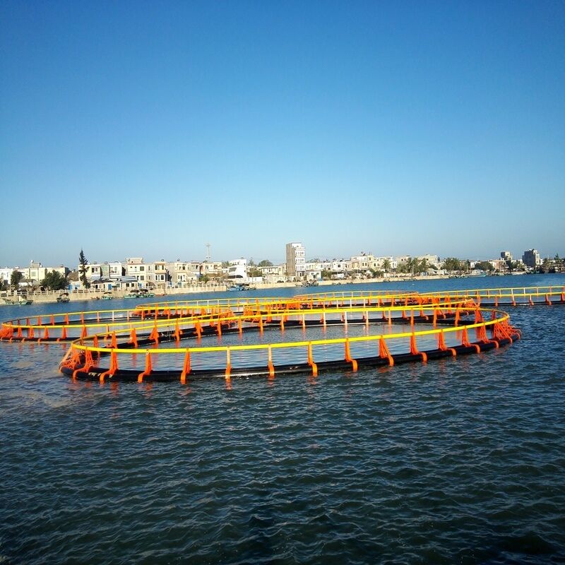 Deep Water Anti-Aging Lake Fish Cage for Long-Term Service