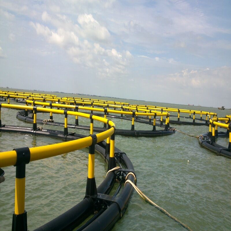 Deep Water Anti-Aging Lake Fish Cage for Long-Term Service