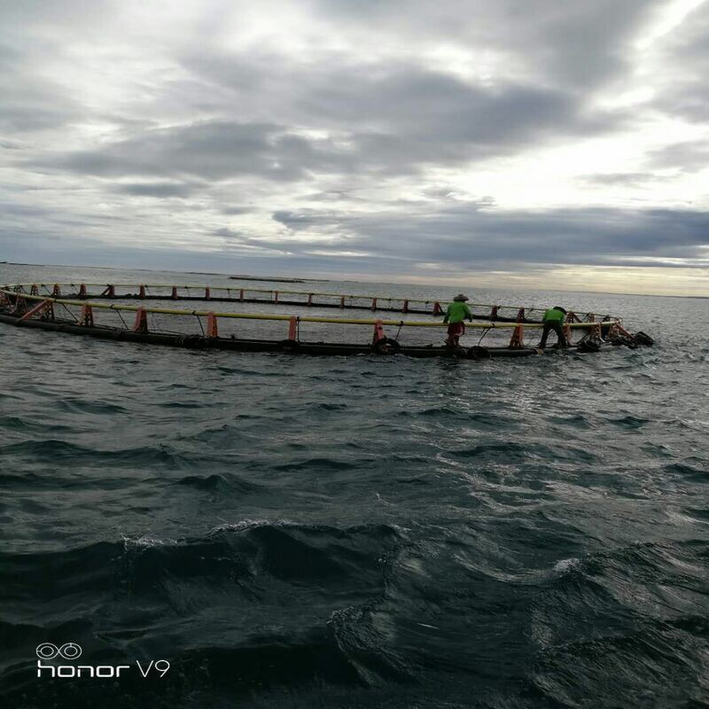 80m Circumference HDPE Circular Fish Cage for Marine Fish & Shrimp Farming