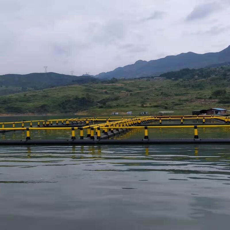 80m Circumference HDPE Circular Fish Cage for Marine Fish & Shrimp Farming