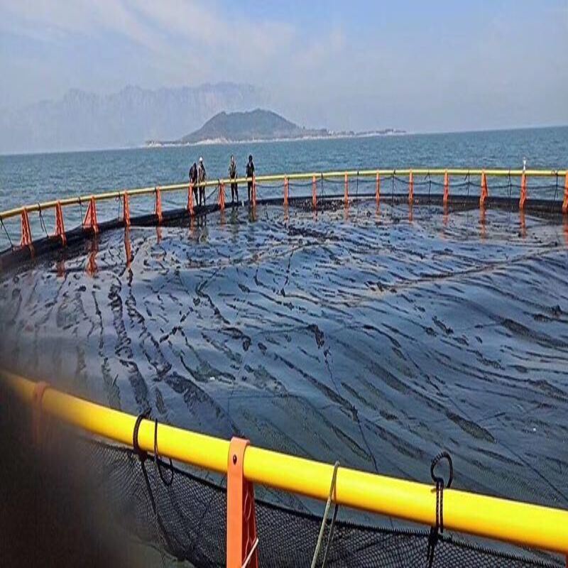 80m Circumference HDPE Circular Fish Cage for Marine Fish & Shrimp Farming