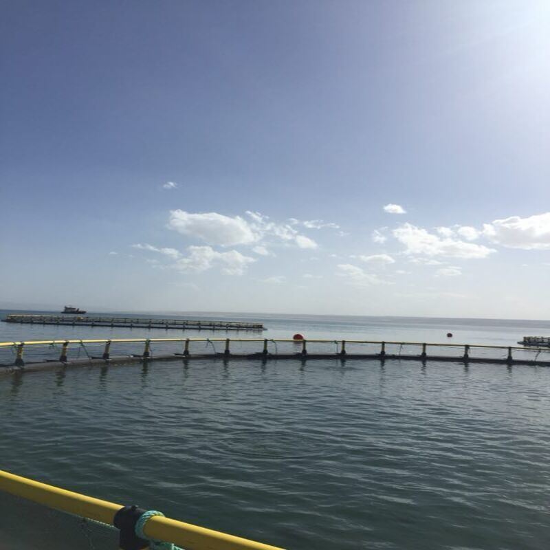 4m Diameter HDPE Small Circular Cage for Fish Seed Rearing