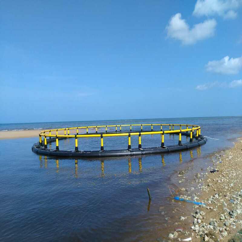 4m Diameter HDPE Small Circular Cage for Fish Seed Rearing