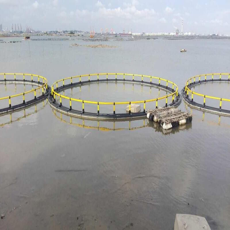 5m×5m HDPE Square Simple Aquaculture Cage