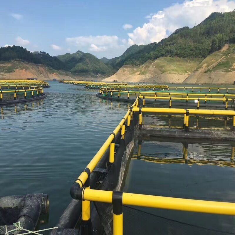 6m×6m HDPE Large Square Cage for Commercial Aquaculture