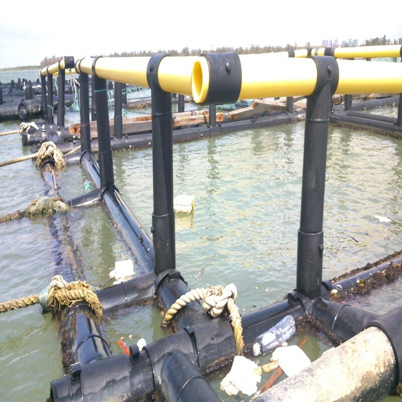 6m×6m HDPE Large Square Cage for Commercial Aquaculture