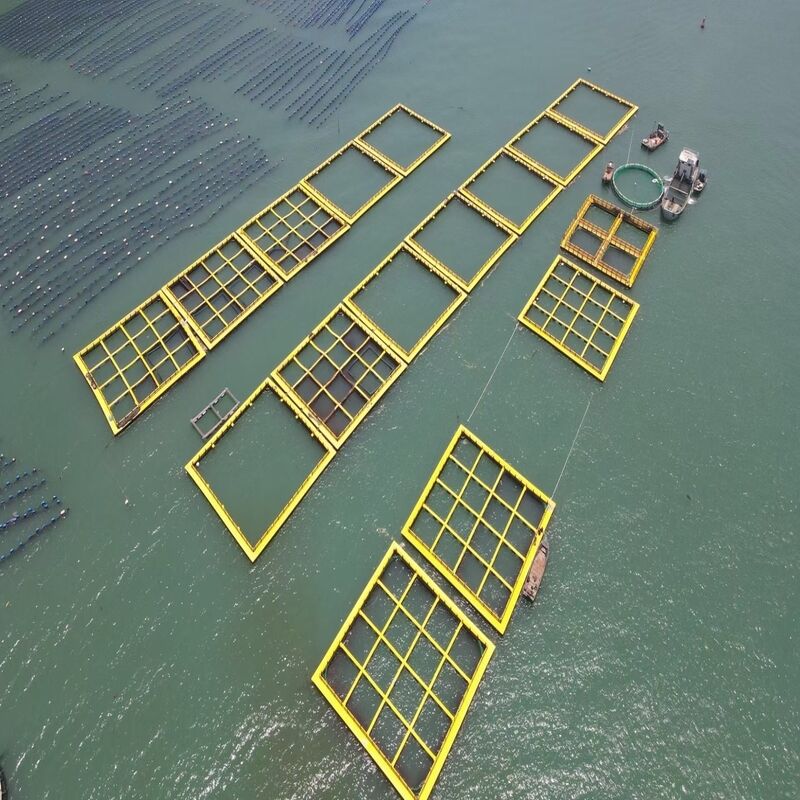 6m×6m HDPE Large Square Cage for Commercial Aquaculture