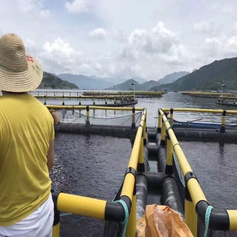 2×2 Compartment Combined Rectangular HDPE Fish Raft Cage