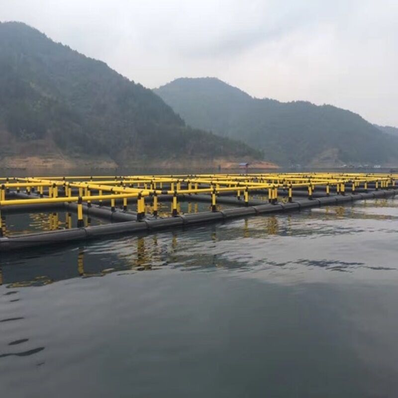 2×2 Compartment Combined Rectangular HDPE Fish Raft Cage