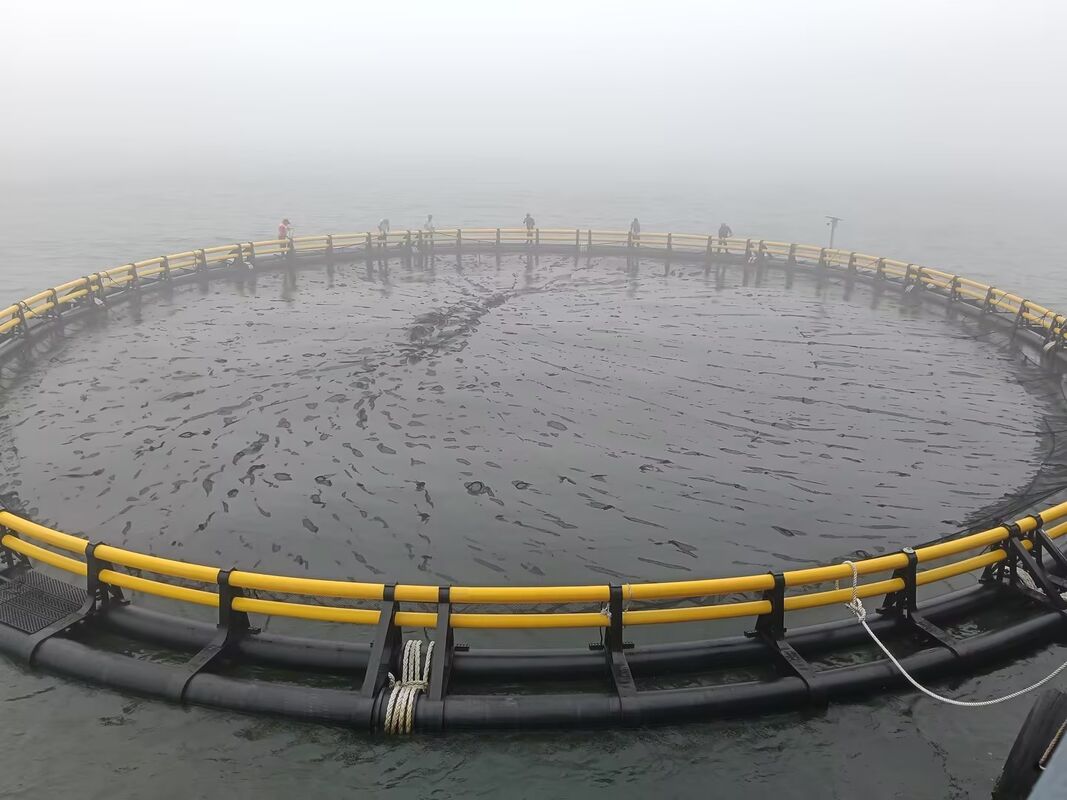 Maximize Your Volta Lake Harvest: Premium HDPE Fish Cages for Elite Taste and Profits