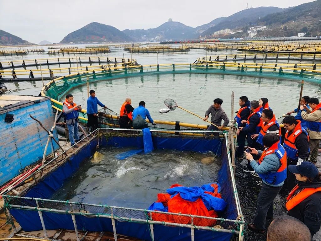 Maximize Your Volta Lake Harvest: Premium HDPE Fish Cages for Elite Taste and Profits