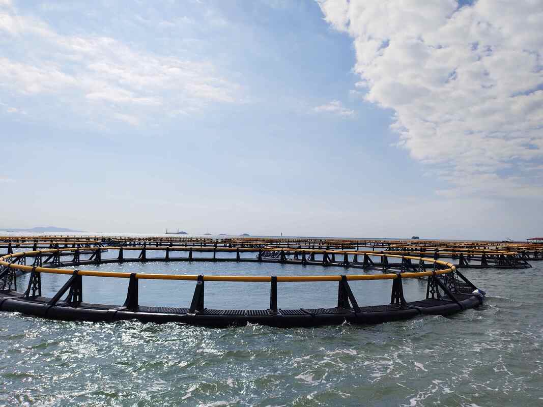 Maximize Your Volta Lake Harvest: Premium HDPE Fish Cages for Elite Taste and Profits
