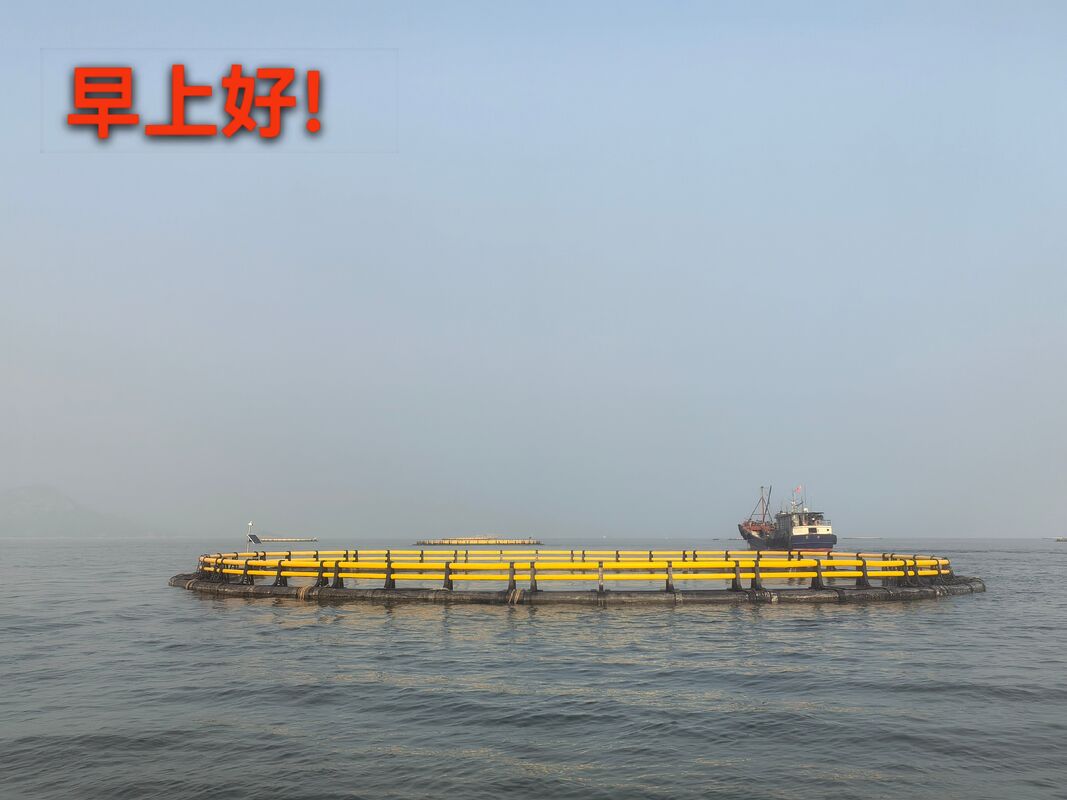 Maximize Your Volta Lake Harvest: Premium HDPE Fish Cages for Elite Taste and Profits