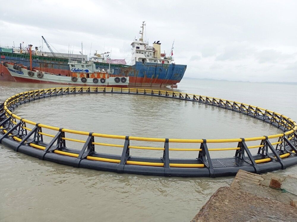 From Premium HDPE Fish Cage to Premium Market Price: Boost Your Ghana Fish Farm